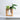 The Complete Guide to Spring Plant Care in Australia
