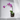 OrchidVent™ Pots