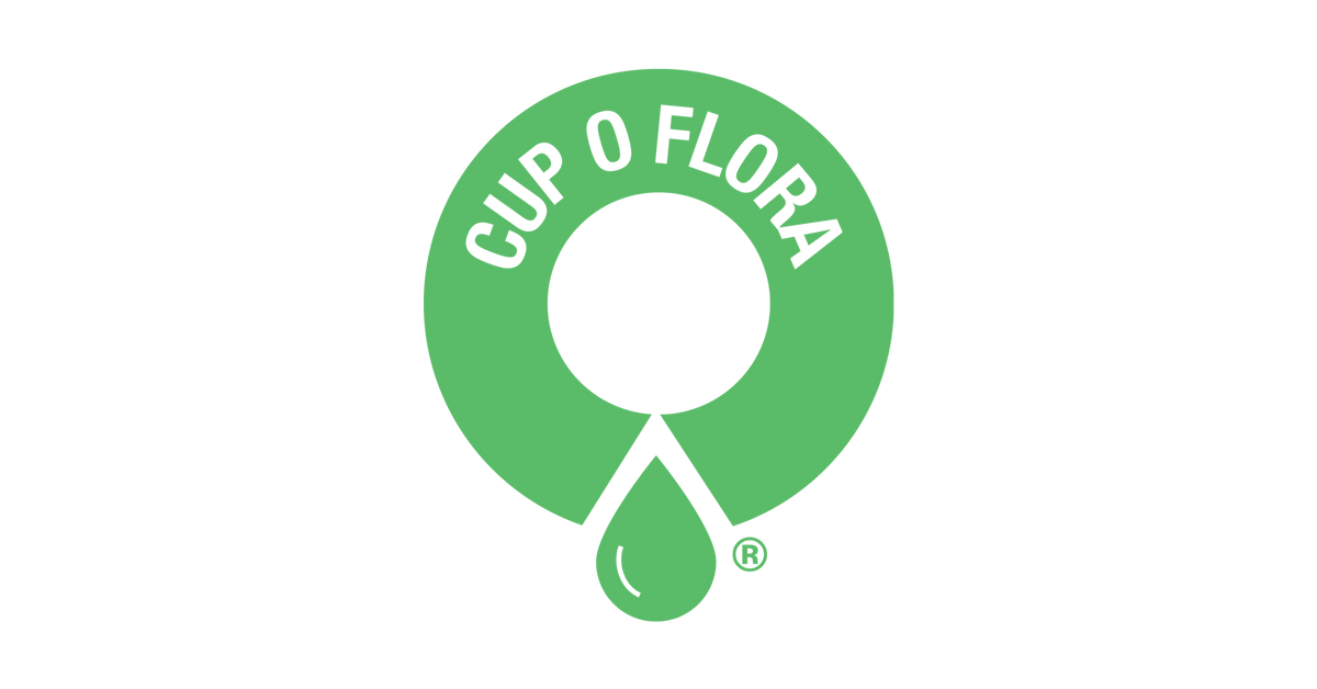 Buy Self-watering Glass Pots Online - Cup O Flora®
– CUP O FLORA