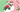 Gift Card - CUP O FLORA®