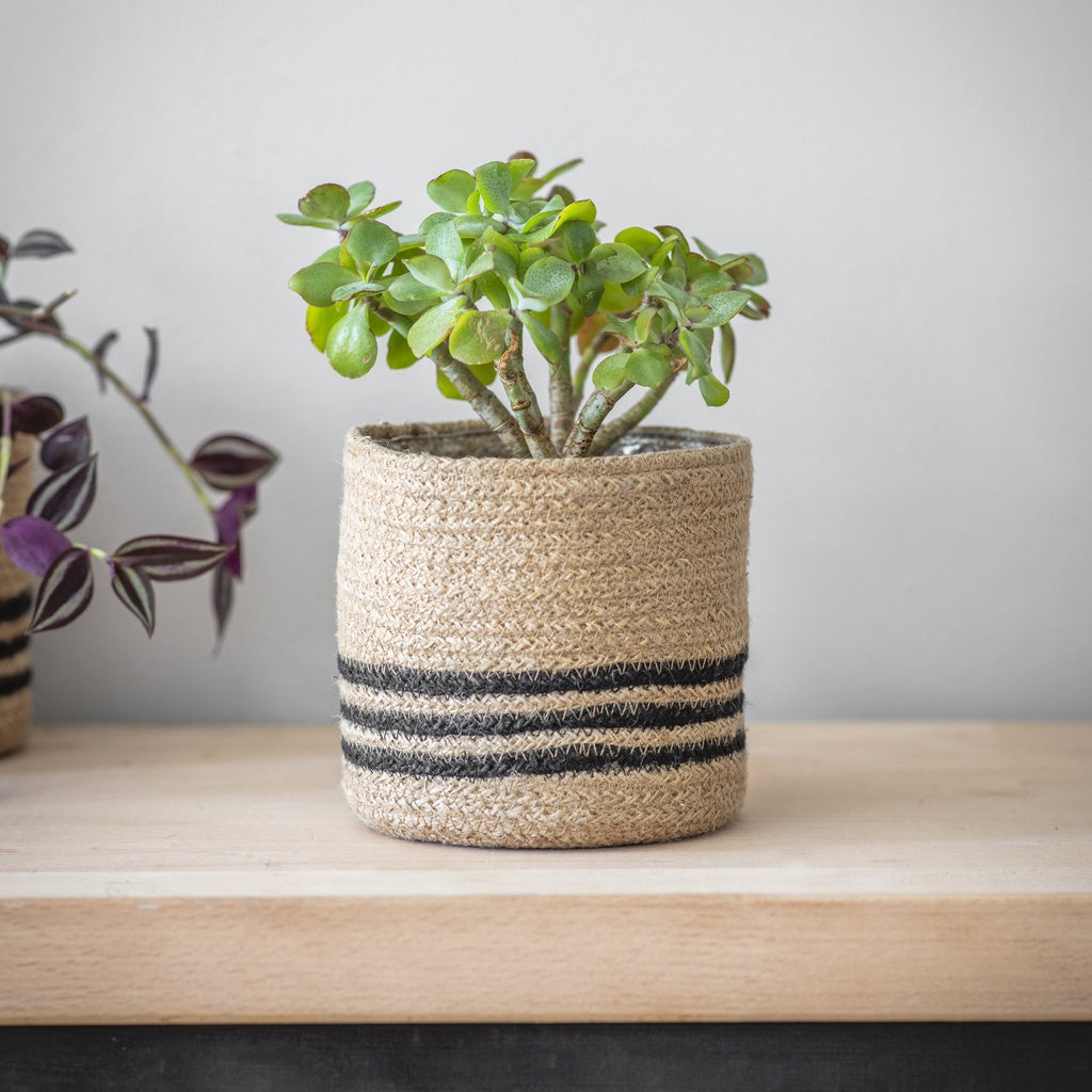 jute pots for plants Striped Jute Pot – CUP O FLORA