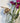 Bee Bud DIY kit