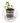 Cup O Herbs™ by Cup O Flora - Coriander