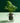 Medium Self-watering Pot