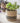 Striped Jute Pot
