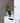 Medium Tilt Self-watering Pot