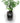 Medium Ribbed Self-watering Pot